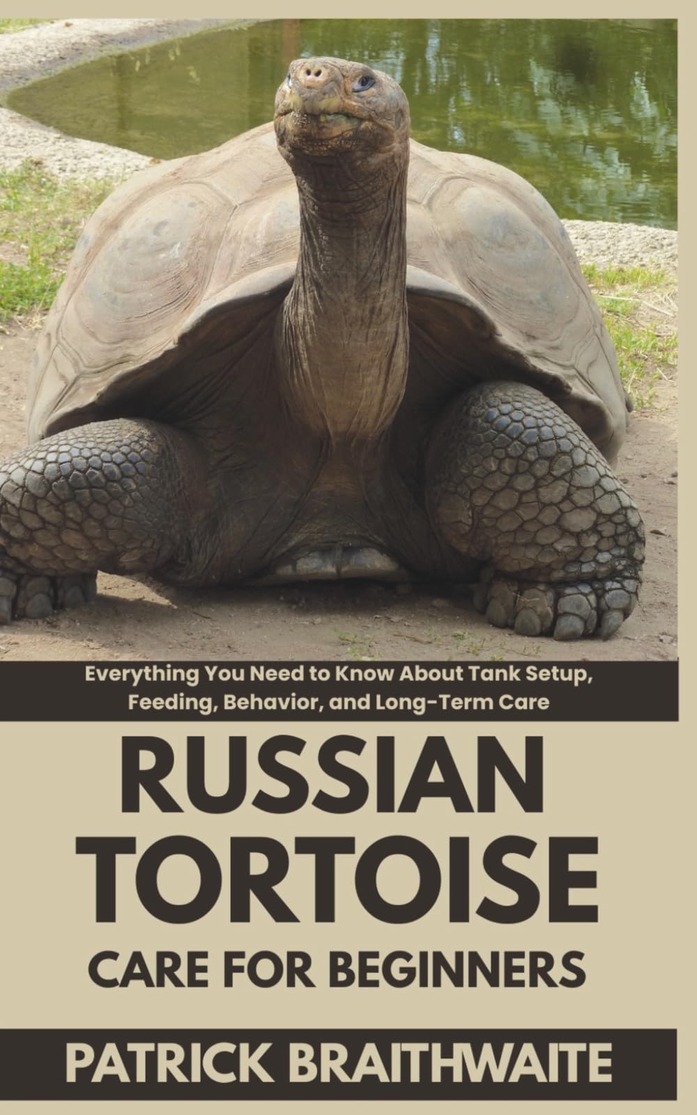 Russian Tortoise Care for Beginners: Everything You Need to Know About Tank Setup, Feeding, Behavior, and Long-Term Care
