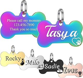 GISUREY Dog Tags Engraved Pet Tags Stainless Steel Custom Dog and Cat Name Tags Personalized Double-Sided Engraving Pet ID Tags with Trendy Icons/Symbols (Bone)