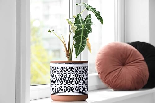 Miniatura 6 de D'vine Dev Juego de 2 macetas de terracota, maceta con patrón de diamante, 4 y 6 pulgadas, maceta con orificio de drenaje y platillo, terracota