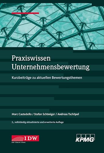 Praxiswissen Unternehmensbewertung, 2. Aufl.: Kurzbeiträge zu aktuellen Bewertungsthemen (IDW Unternehmensbewertung: Bewertung, Rechnungslegung und Prüfung)