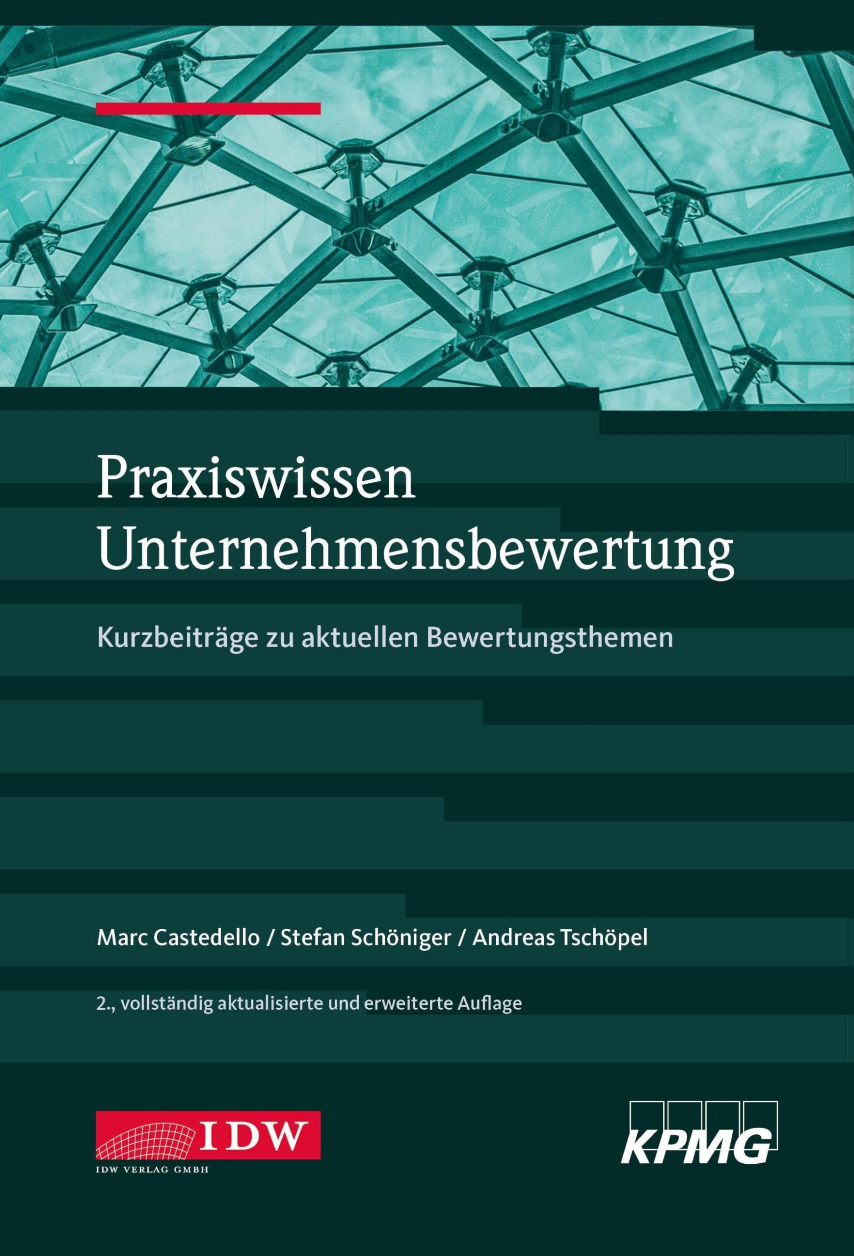 Praxiswissen Unternehmensbewertung, 2. Aufl.: Kurzbeiträge zu aktuellen Bewertungsthemen (IDW Unternehmensbewertung: Bewertung, Rechnungslegung und Prüfung)