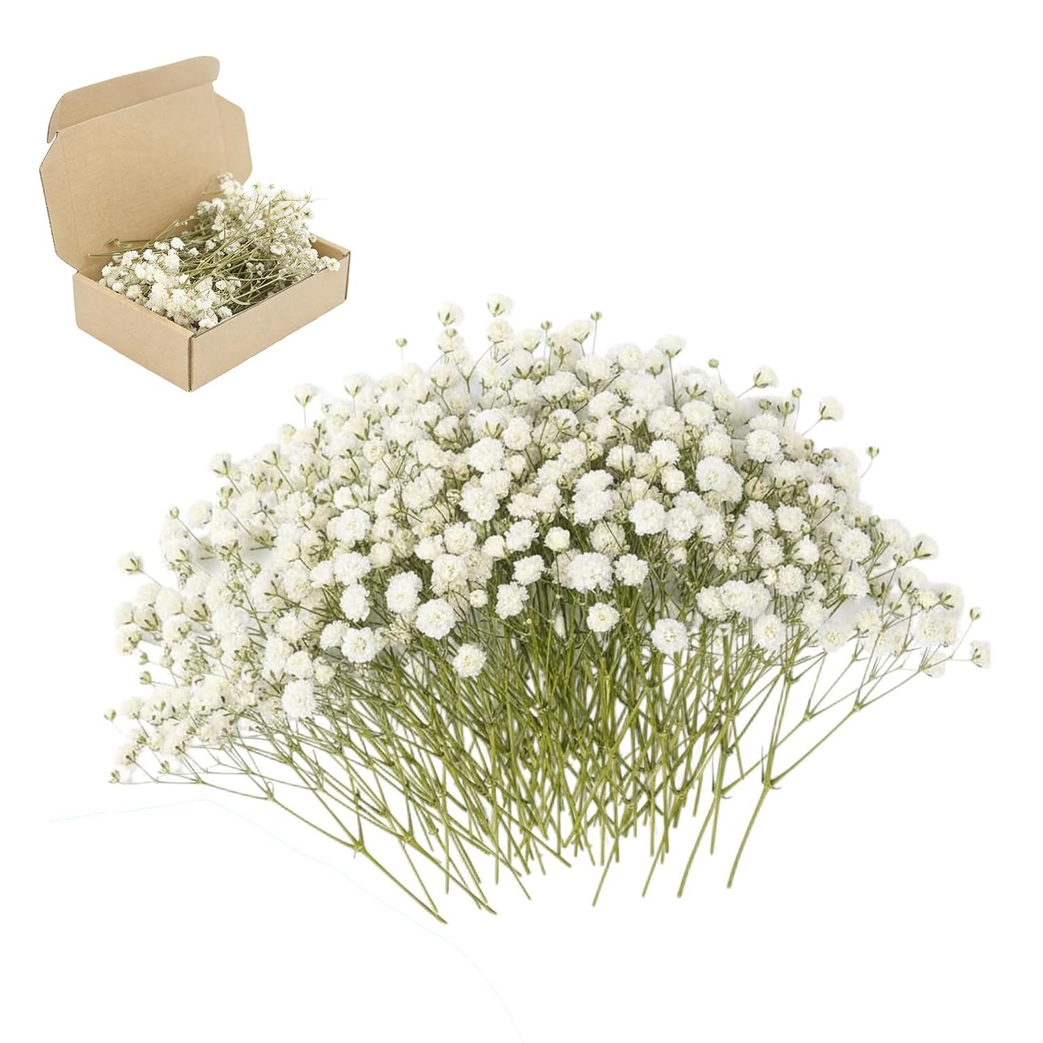 Gypsophila Artificial Flowers, Dried Flowers for Crafts, White (100PCS)