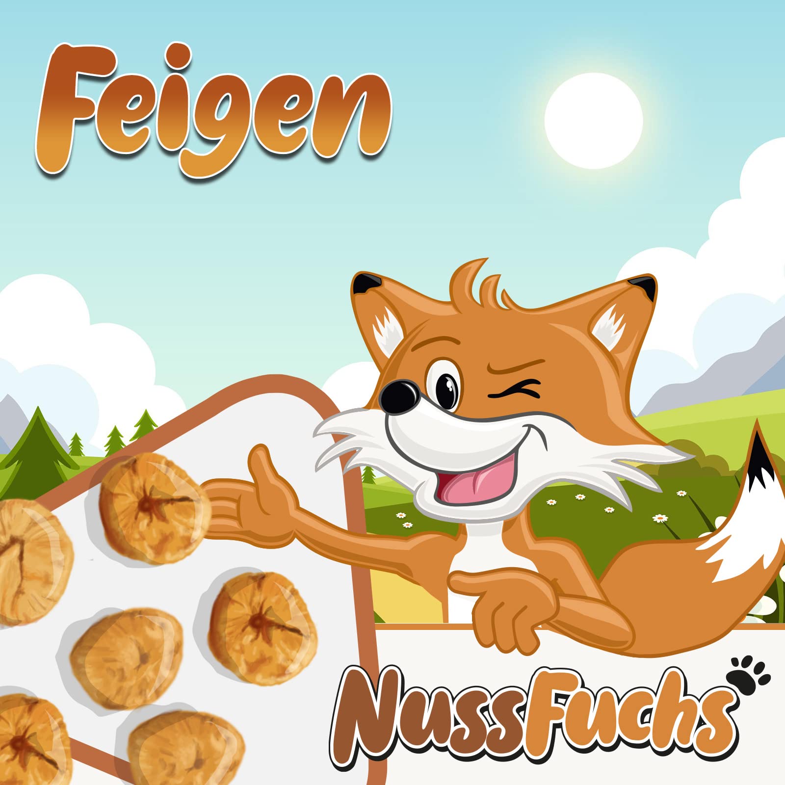 Feigen 4kg im Eimer getrocknet naturbelassen ungeschwefelt NussFuchs