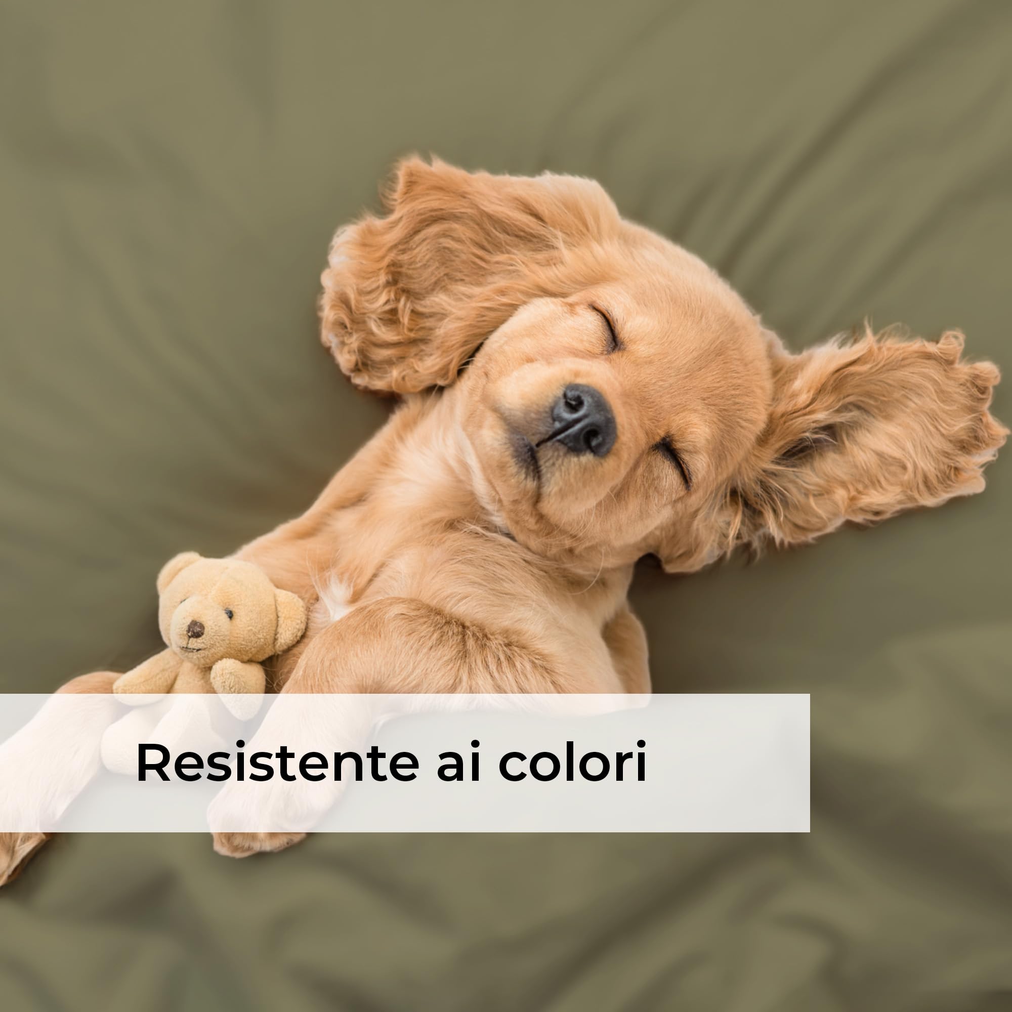 Lenzuolo con angoli 140x200cm – Altezza del bordo 40cm – In microfibra di poliestere spazzolato – Adatto per letti boxspring – Si adatta a materassi fino a 40cm – Certificato OEKO-TEX, Verde salvia