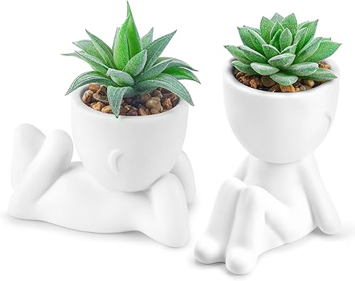 Der Rose Juego de 2 plantas artificiales suculentas para oficina, accesorios de escritorio, baño, hogar, habitación, decoración estética interior