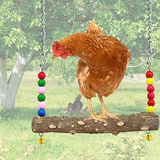 NCTP Chicken Swing Toys with Natural Wooden Handmade Chicken Perch, Chicken Wood Stand Chicken Bird Toy for Hens, Handmade Chicken Swing for Large Bird Parrot Hens Macaw Trainning