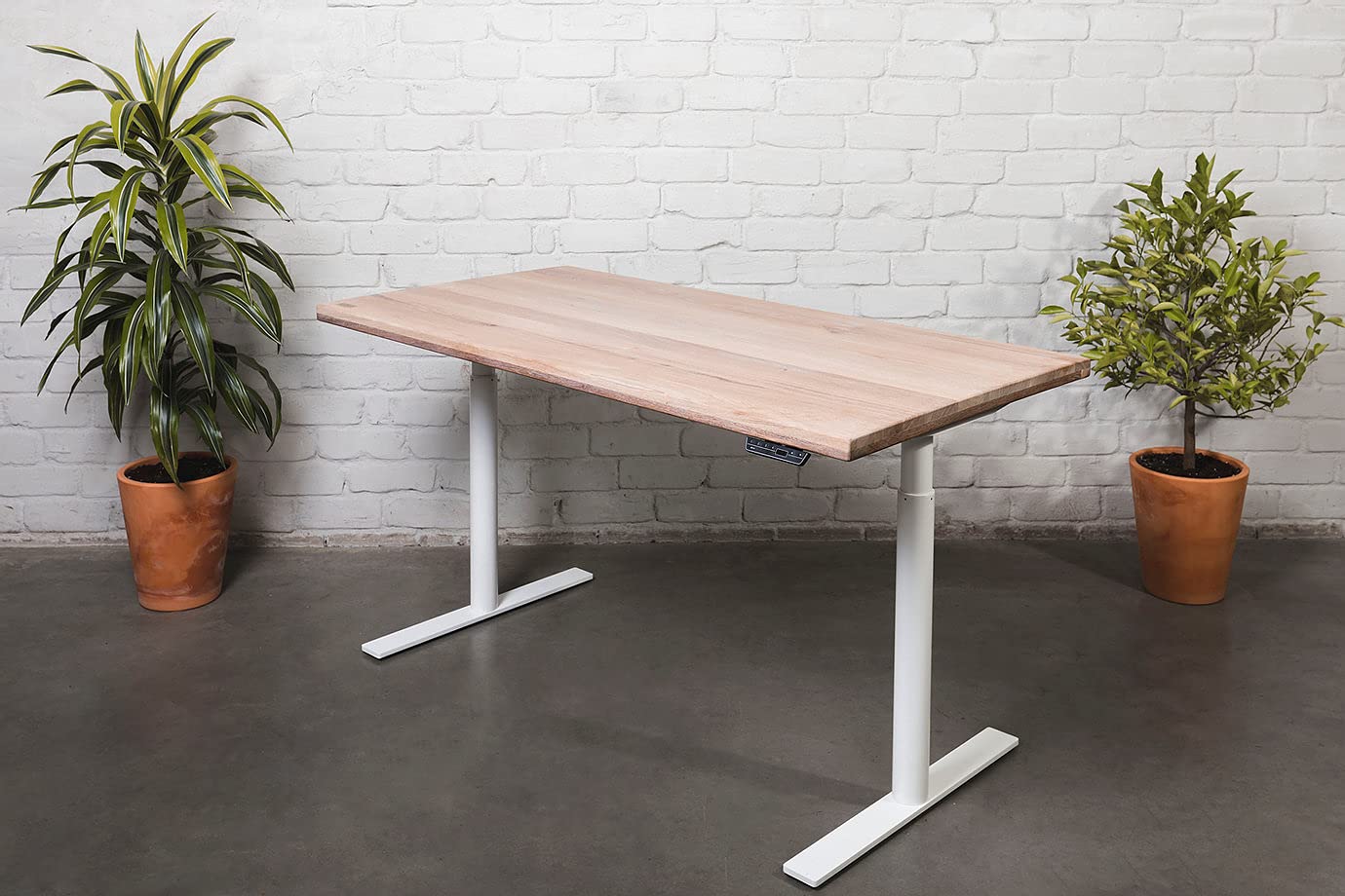 Buy OAKO Denmark Height Adjustable Electric Standing Desk Best Design