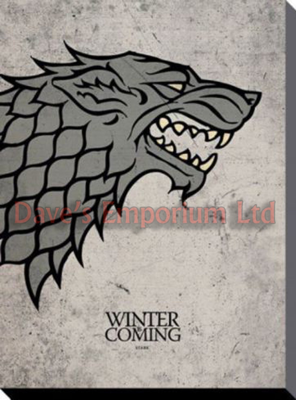 Pyramid International "Game of Thrones Stark Canvas Print, Cotton, Multi-Colour, 1.80 x 30.00 x 40.00 cm