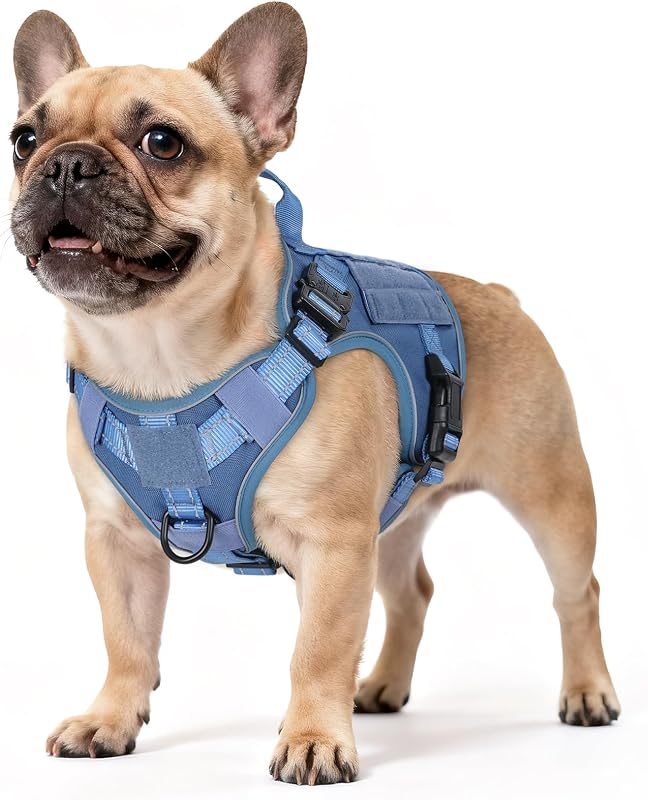 Peitoral Vest Tático para Cães rabbitgoo com Nylon 1050D e Sistema MOLLE