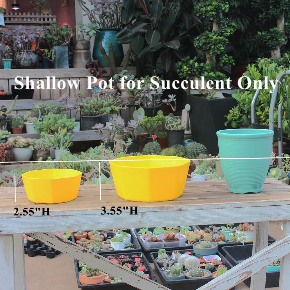BangQiao 8 Pack 8.00 inch and 5.90 inch Yellow Plastic Shallow Plant Pot, Octagon Bowl Planter Container with Pot Tray for Succulents, Cactus