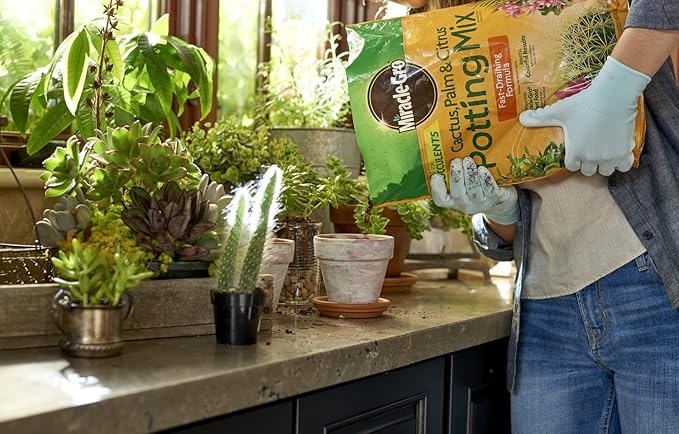 Miracle-Gro Cactus, Palm, and Citrus Potting Mix is a specially formulated blend designed for indoor or outdoor container plants, particularly succulents. This mix is great for cacti, palms, citrus plants, and other succulents that require well-draining soil to thrive. The 8-quart bag is convenient for small to medium-sized planters.