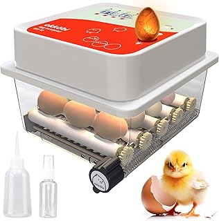 OBI-12 Incubator for Hatching Eggs – 36 Eggs, Easy to Use, Stable Temperature & Humidity Control with Eggloo Insulation - Orange