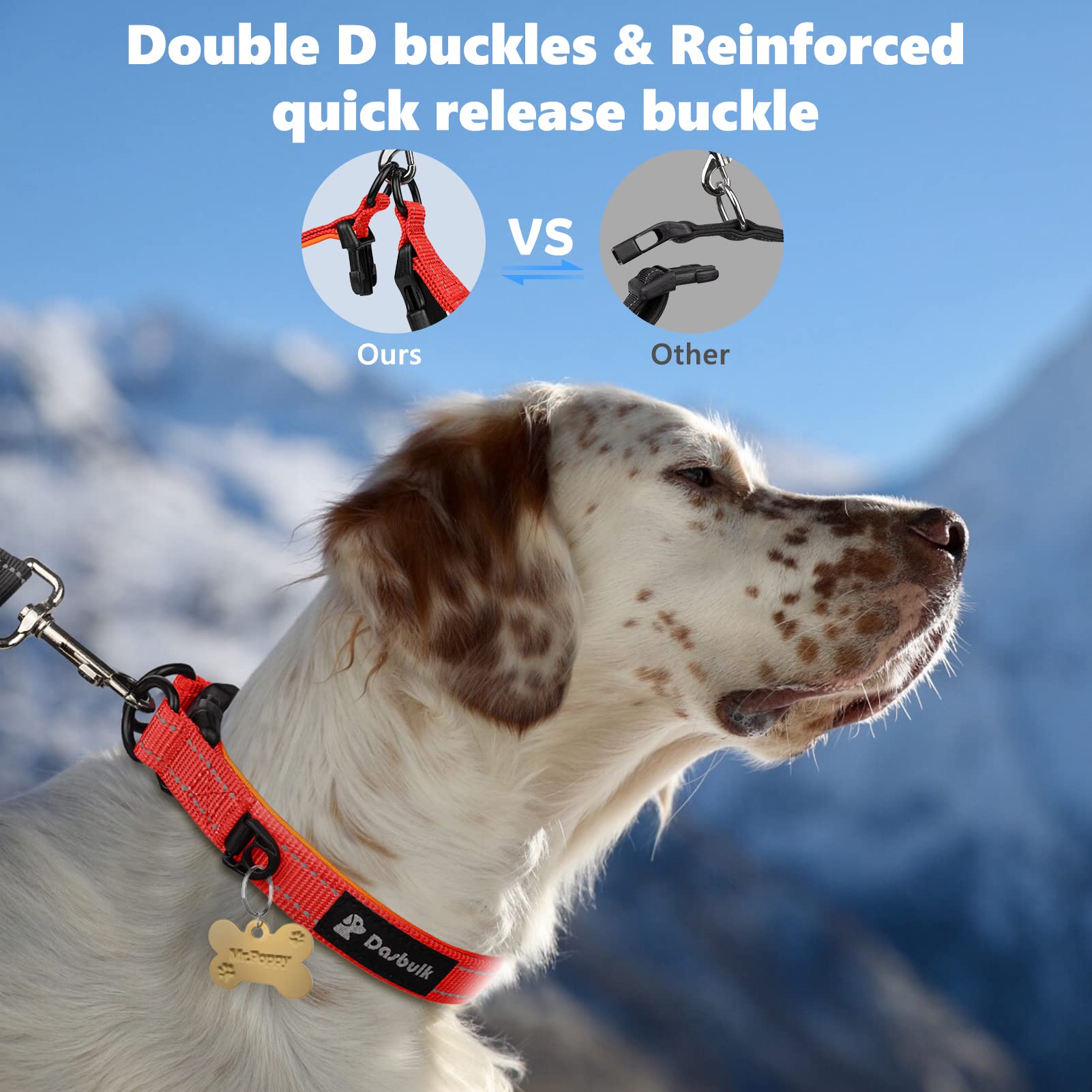 Collar Para Perro Con Porta AirTag - Ajustable, Hebilla Rápida, Nylon Transpirable