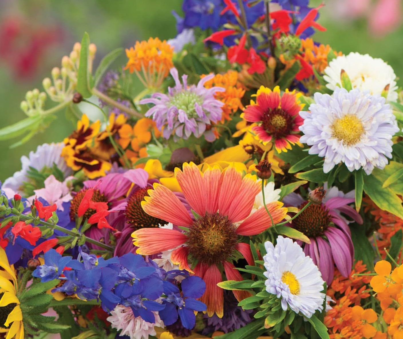 Montaña Vista Semillas 100570 Bee Polinizador Mezcla Semilla | Meses