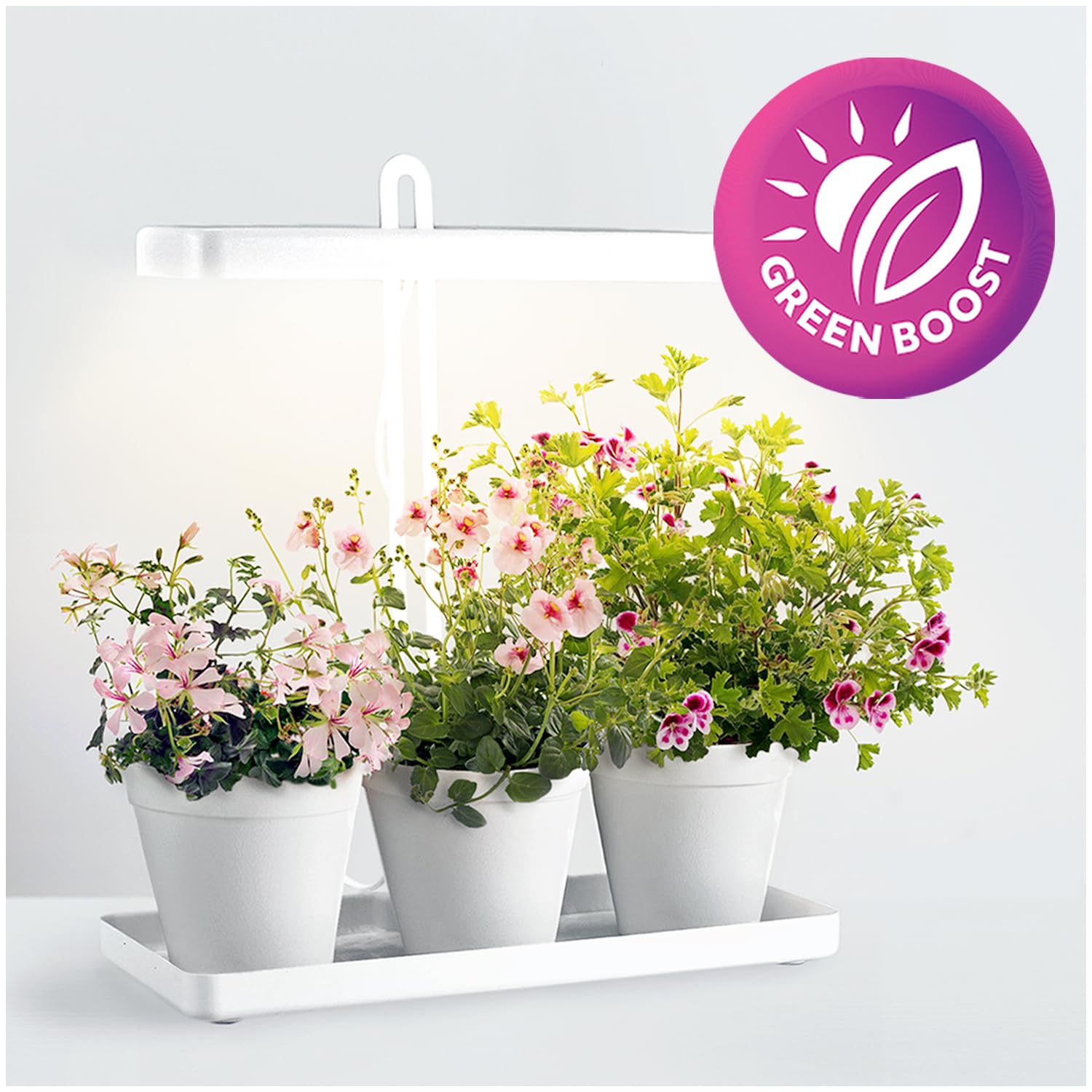 LED BLOOM 20W Pflanzenlampe LED, Vollspektrum Pflanzenlicht für Zimmerpflanzen, Höhenverstellbares LED- PflanzenwacSB-Laden (BLOOM 20W)
