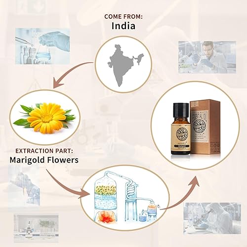 Miniatura 186 de AKARZ Aceite esencial de vainilla natural orgánico puro aceite de vainilla terapéutico prémium para el cuidado del cabello de la piel, cuerpo