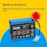 PEG Batterie 12V/4.5Ah - Pièce de Rechange Originale Rechargeable pour Véhicules Électriques Peg Perego - 4