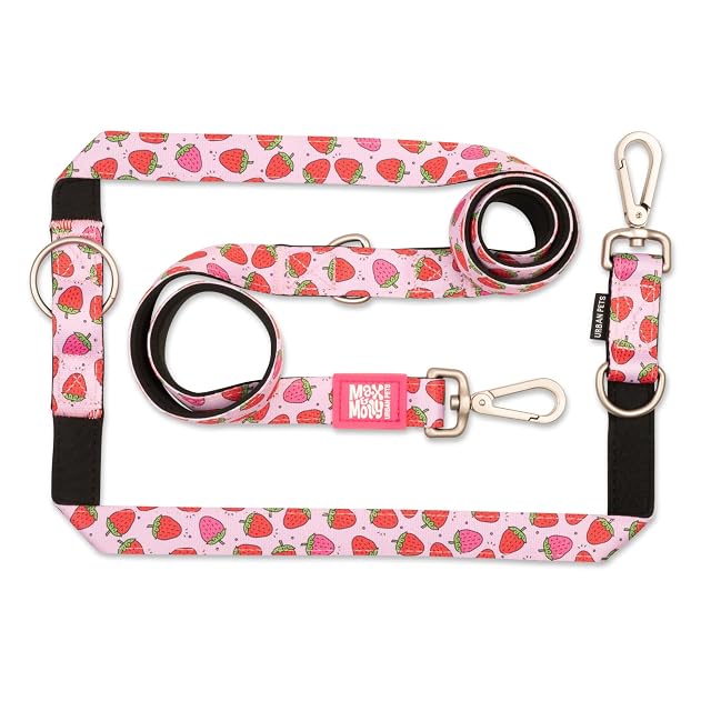 MAX & Molly Correa multifunción para Perros de 2 m con 2 mosquetones, Strawberry Dream/M Correa…