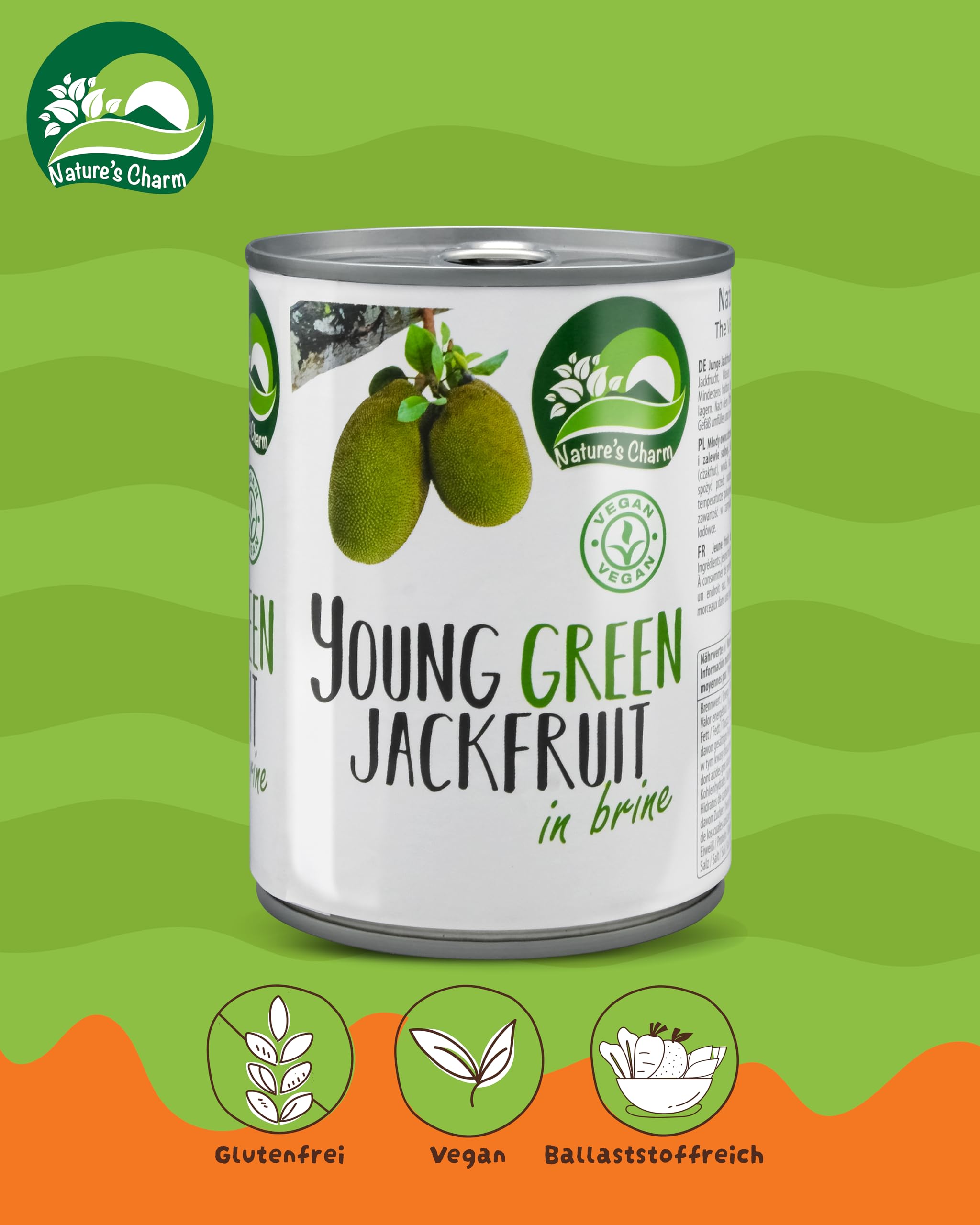 Nature’s Charm Jackfrucht in Lake I Salzig eingelegte, junge grüne Jackfruit I Ideal als pflanzlicher Fleischersatz für vegane Bowls, Sandwiches und Pfannengerichte I 1 x 2900 g