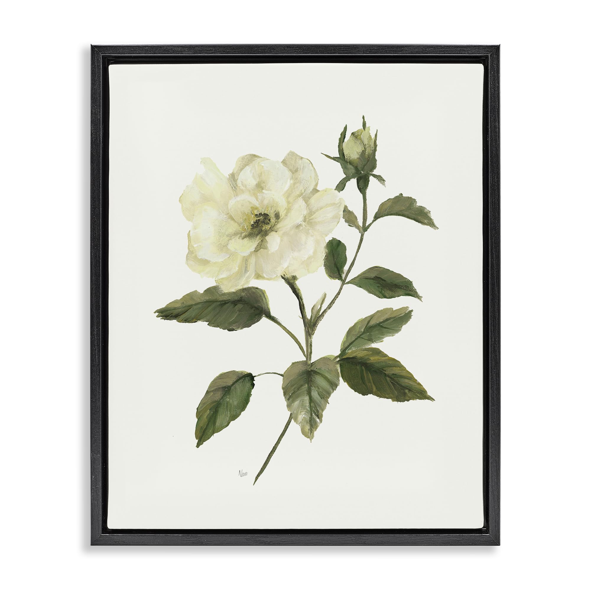 Stupell Industries 'Ivory Rose Bloom With Green Foliage', Floating Frame Canvas Art, Black, 25 x 31 Inches, Easy to Hang and Sturdy, Made in USA, by Nan