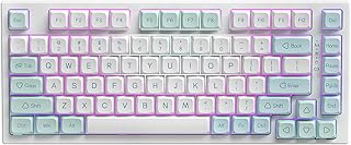 YUNZII YZ75 75% Hot Swappable Wireless Gaming Mechanical Keyboard, RGB Backlights, BT5.0/2.4G/USB-C, Dye Sub PBT Keycaps for Linux/Win/Mac(Gateron G Pro Yellow, Mint)