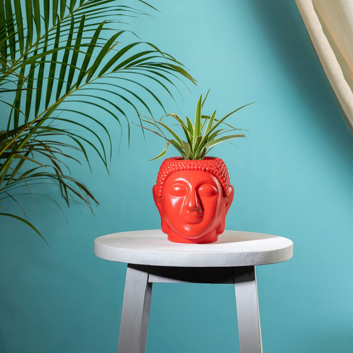 See full amazon price history chart for TrustBasket Buddha Pot | Sturdy Table Top Planter Pot (Red) | Heavy Duty Plastic Indoor and Outdoor Planter for Home Decor TrustBasket Buddha Pot | Sturdy Table Top Planter Pot (Red) | Heavy Duty Plastic Indoor and Outdoor Planter for Home Decor (B0C3CNYKQR) Amazon Price History, Amazon Price Tracker