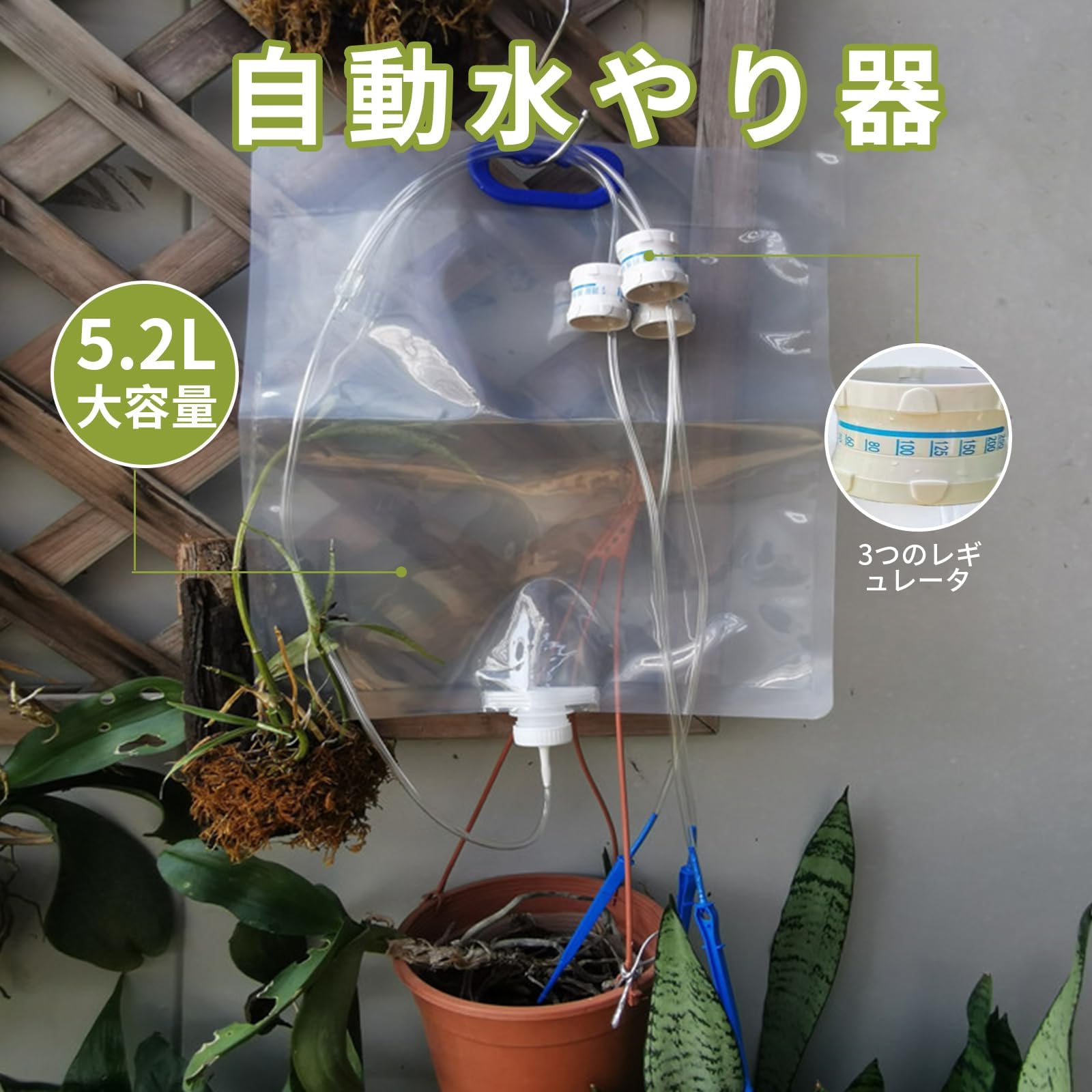 Amazon.co.jp: 【雲見】自動水やり 水量調節可能 植物 自動給水器 3