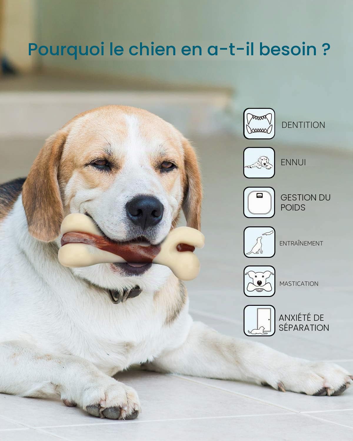 Mumba Os à Mâcher pour Chien, Jouets Os Durable pour Mâcheurs Agressifs, avec Saveur de Boeuf, Jouet Interactif pour Petit/Moyen/Grand Chien (L)