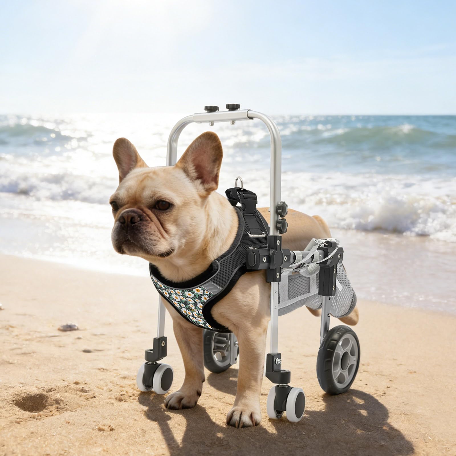 Fauteuil roulant pour chien - Pour pattes arrière - Aide à la mobilité - Harnais de mobilité - Aide à la marche pour chien - Avec 4 roues - Longueur du dos réglable - Tour de poitrine et hauteur du