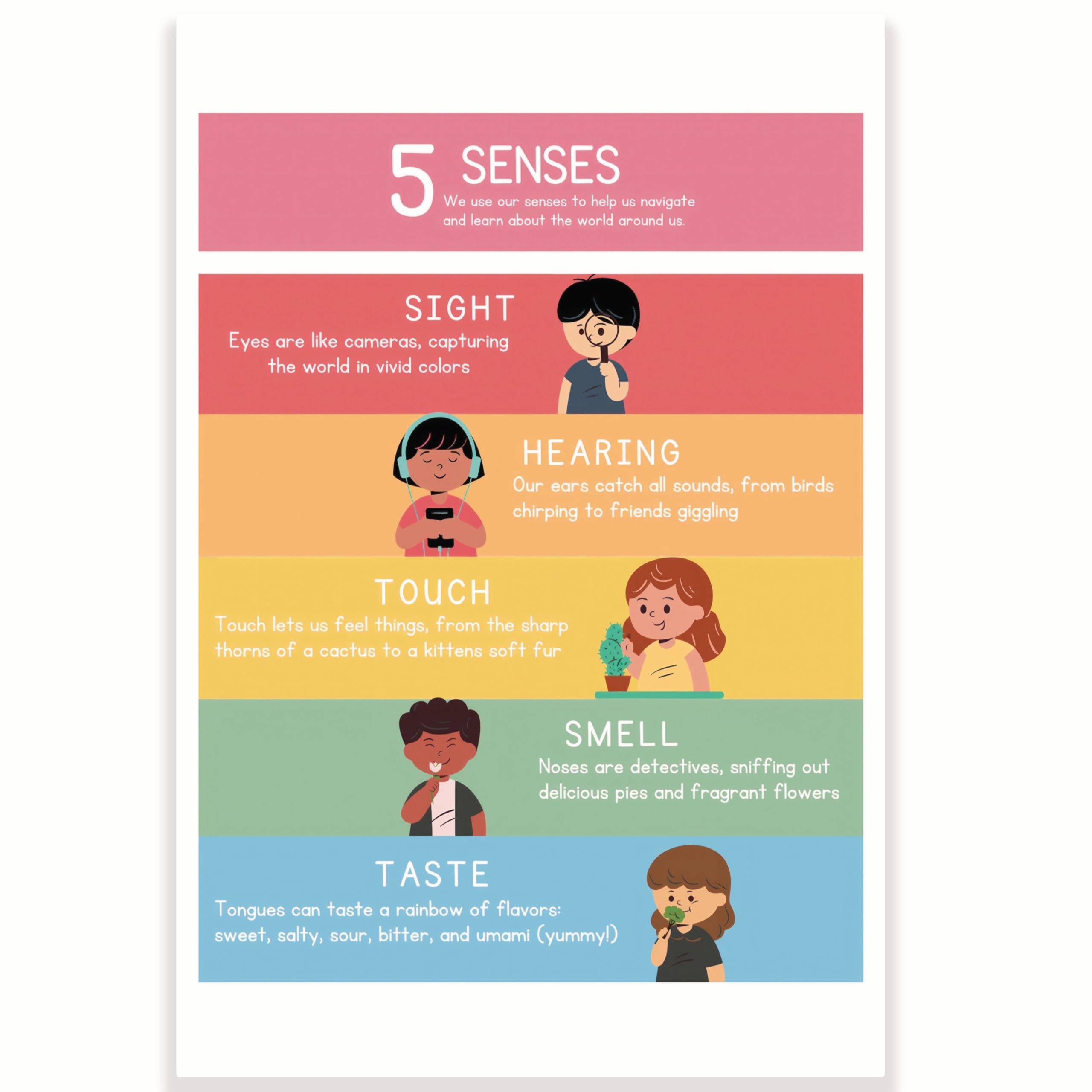 Printlabz 5 Senses Classroom Poster - 5 Senses Diagram Chart - 12 x 18 Inch - Classroom Decor - Classroom Must Haves - Back To School Decor - CPS0550