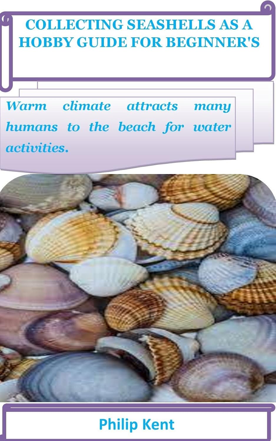 COLLECTING SEASHELLS AS A HOBBY GUIDE FOR BEGINNER'S Warm climate