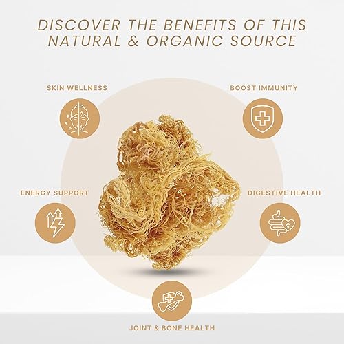 Miniatura 4 de Musgo marino al por mayor a granel, 100% natural, hace más de 600 onzas de gel de musgo marino - Importado de Santa Lucía - Embalado suelto (5