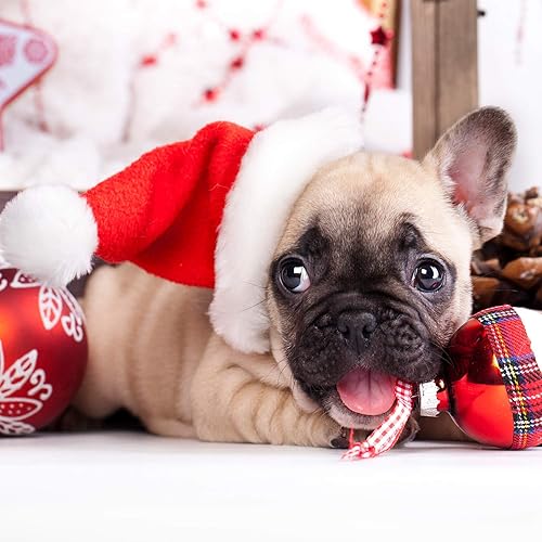 Miniatura 5 de 4 piezas lindo gato perro Navidad Santa sombrero bufanda lazo collar Navidad reno cuernos con orejas accesorio de disfraz de Navidad para gatito,