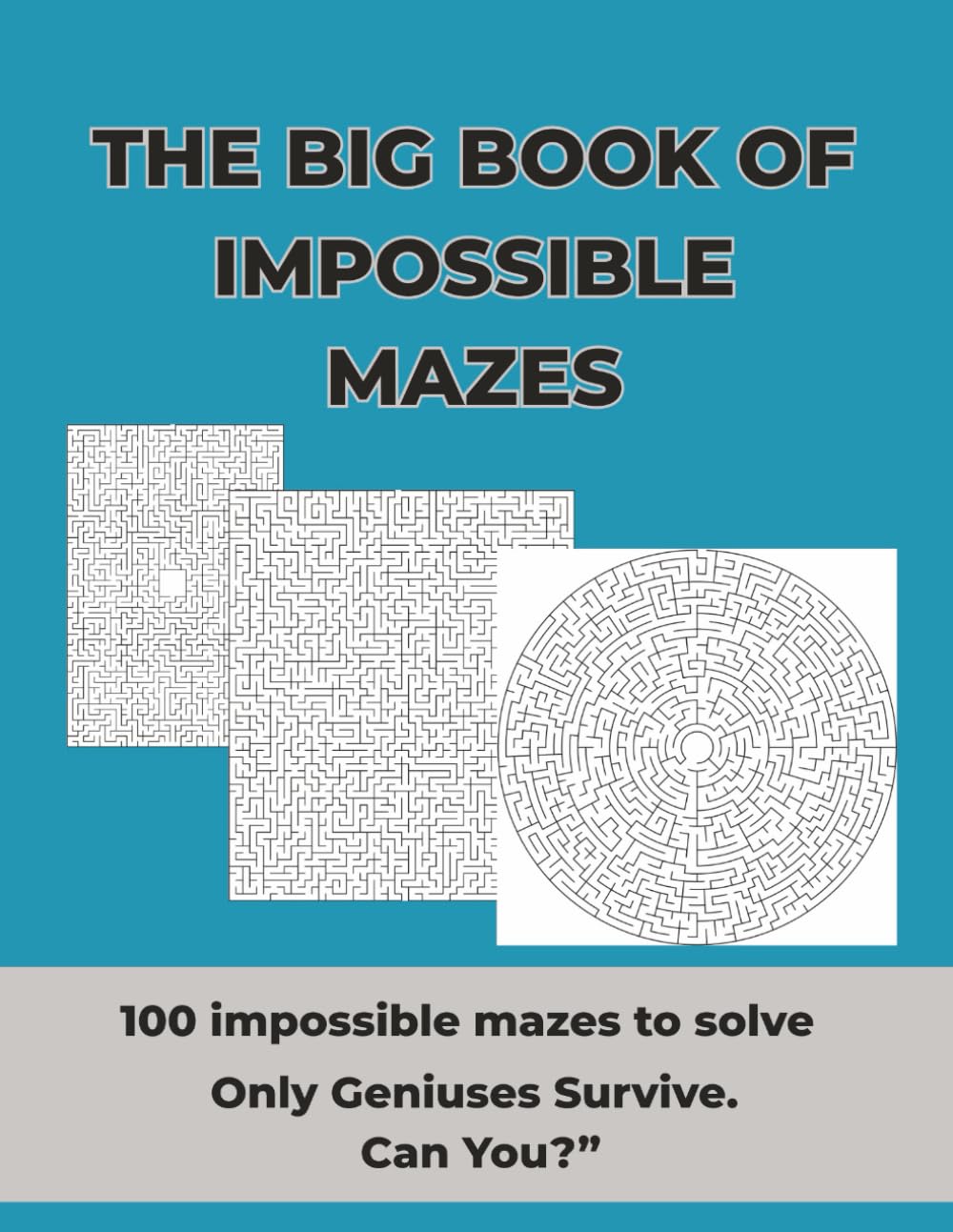 The Big Book Of Impossible Mazes, Challenging activity book for adults / clever kids: Ultra-Hard Genius-Level 100 Mazes for Smart Minds, Puzzle Lovers, and Anyone Who Craves an Extreme Brain Challenge