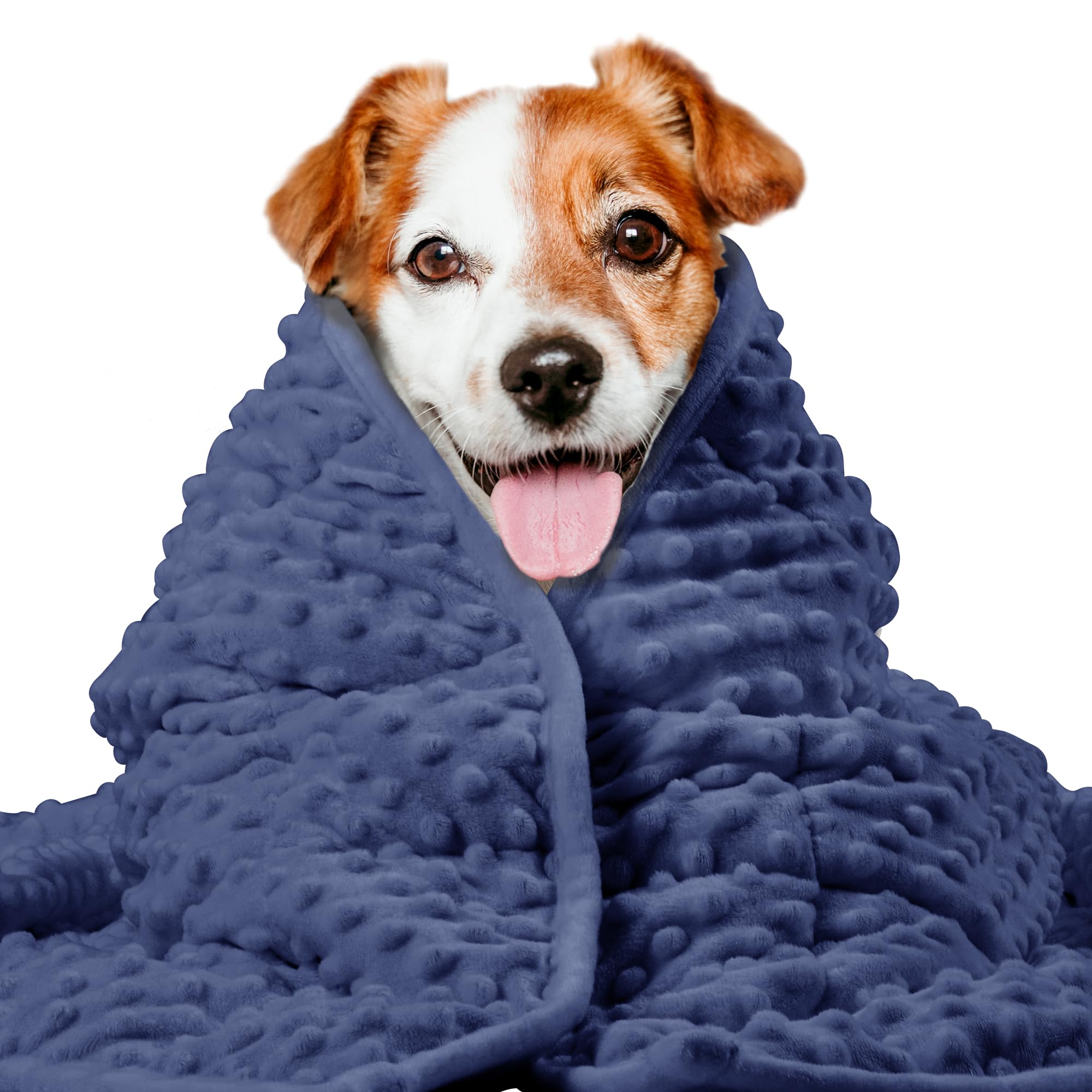 LaSyL Weighted Blanket for Pets | Thunder Blanket for Dogs Anxiety | Premium Soft Minky | Relaxation & Calming & Anti Anxiety | Used in Car, Bed,