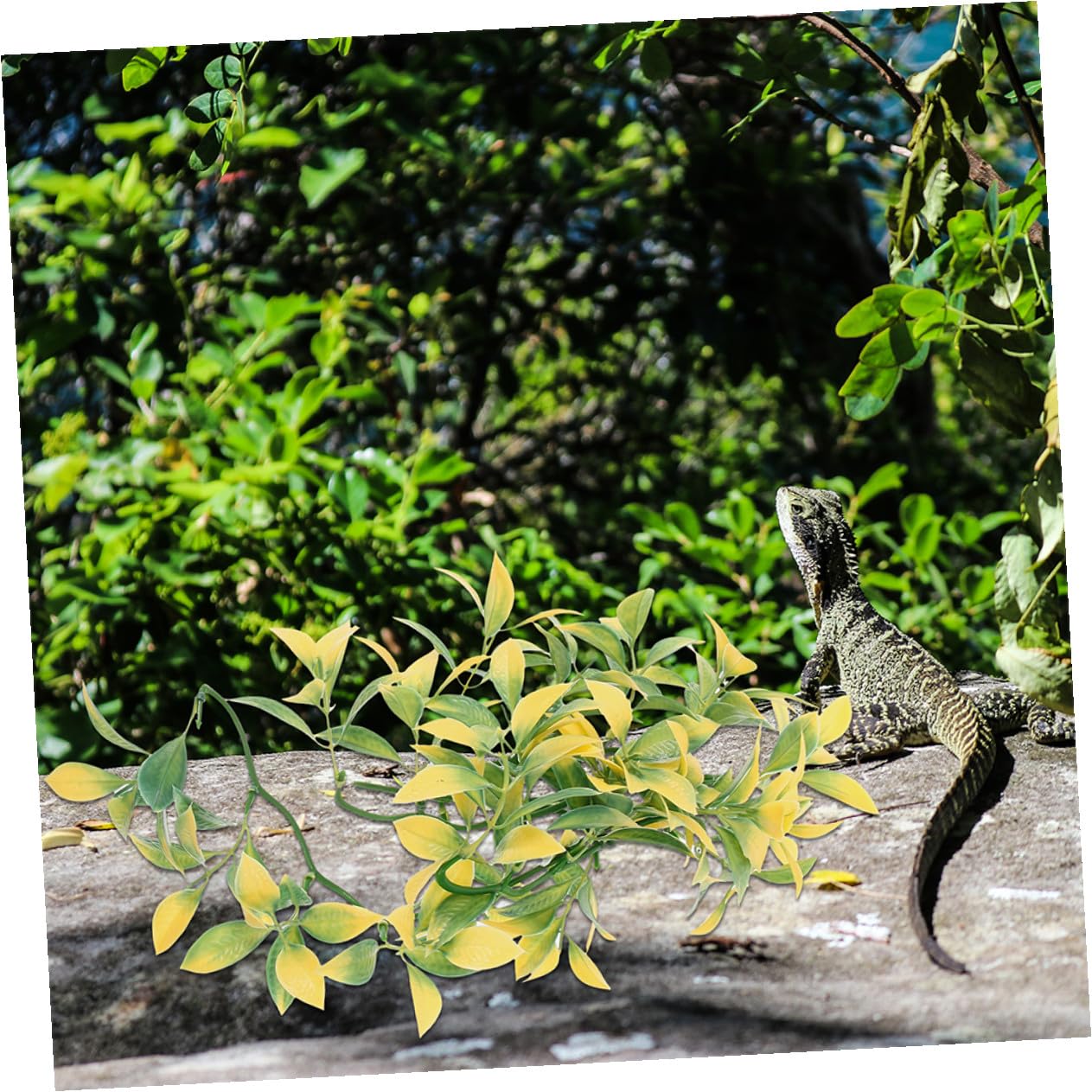 Mipcase 6piezas Plantas Artificiales para Reptiles Decoración de Terrarios Enredaderas Colgantes de Plástico para Acuarios Jaulas Plantas Trepadoras para Decoración de Terrarios