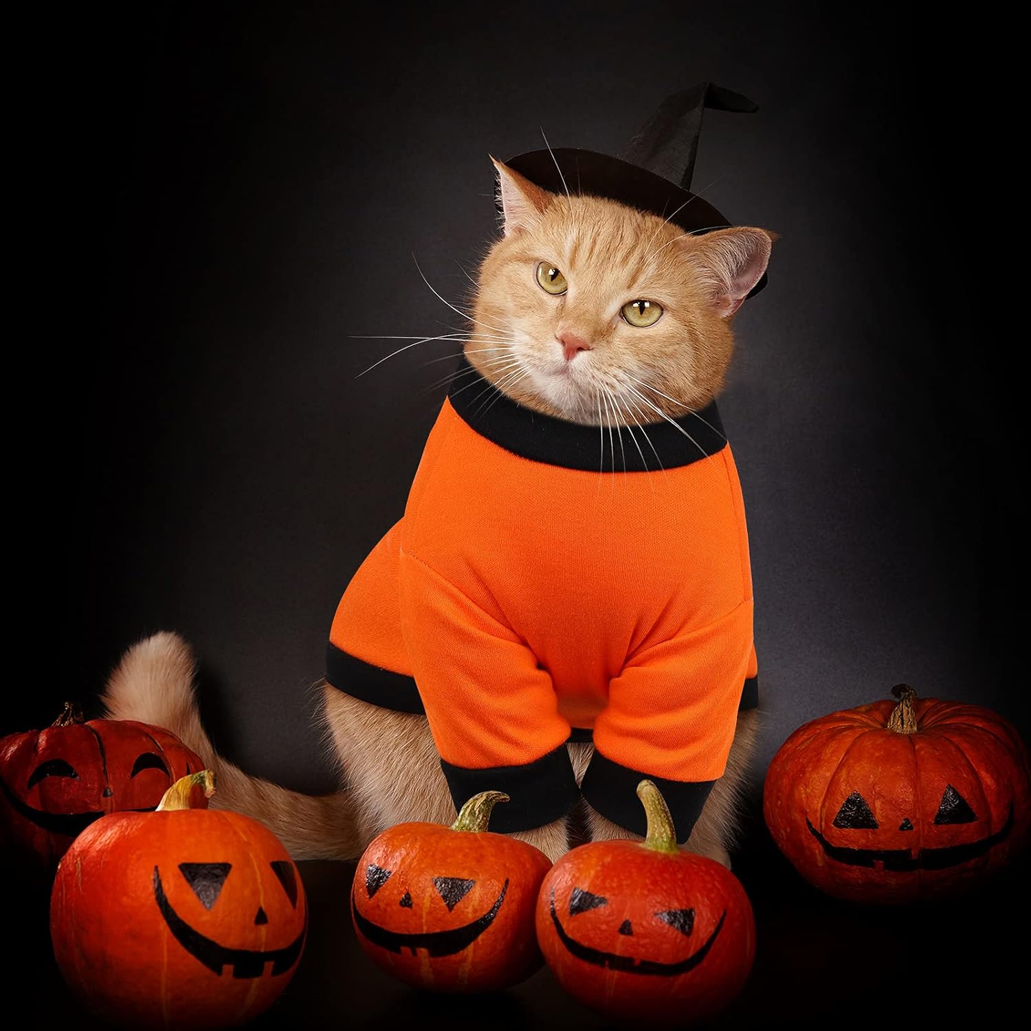 Pedgot 2 Pack Dog Halloween Shirt Soft Cotton Ghost Dog Shirt Halloween Cosplay Pet Apparel Funny Pet Costumes for Dogs Puppy Supplies, Medium : Pet Supplies