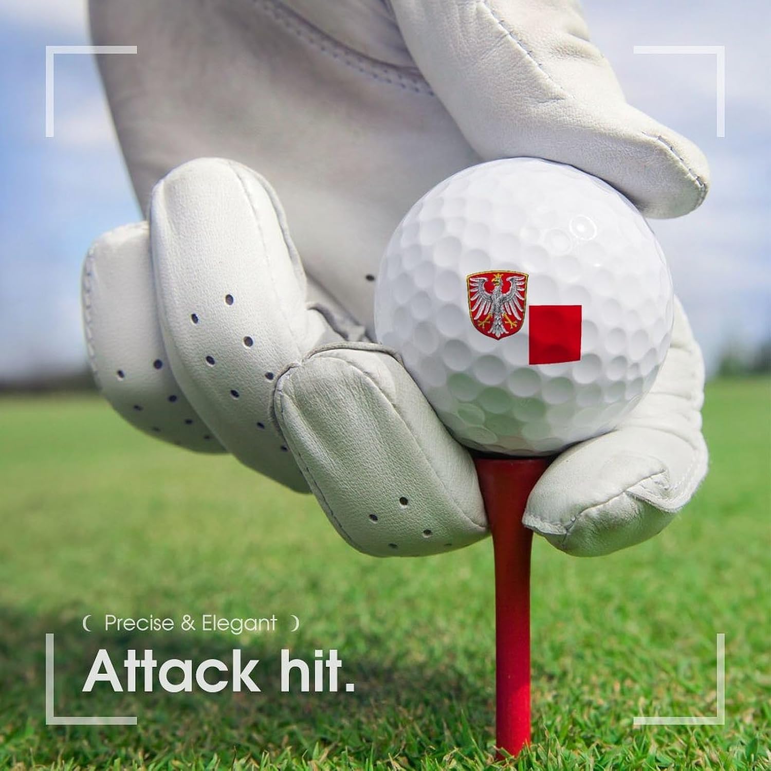 Flag of Frankfurt Am Main Logo Golf Balls Personalized Ball Custom for Men Women Boyfriend Husband