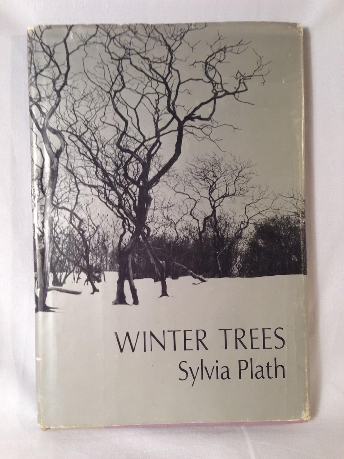 Winter Trees Plath, Sylvia 9780060133672 Books