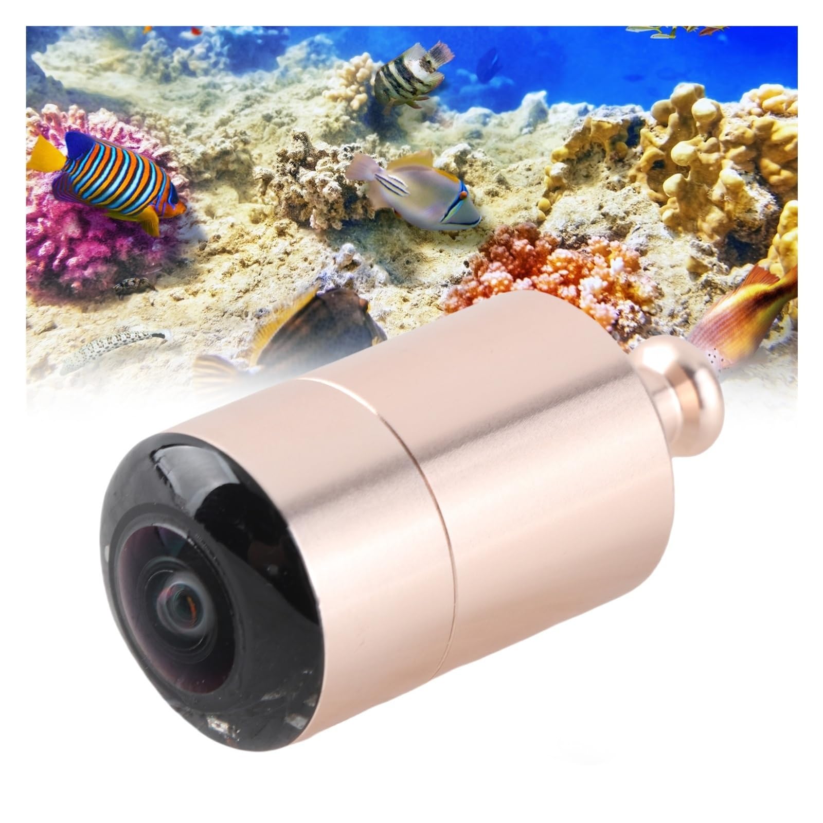 Detector de Peces, Buscador de cámara detección Peces Píxeles HD bajo el Agua con luz infrarroja