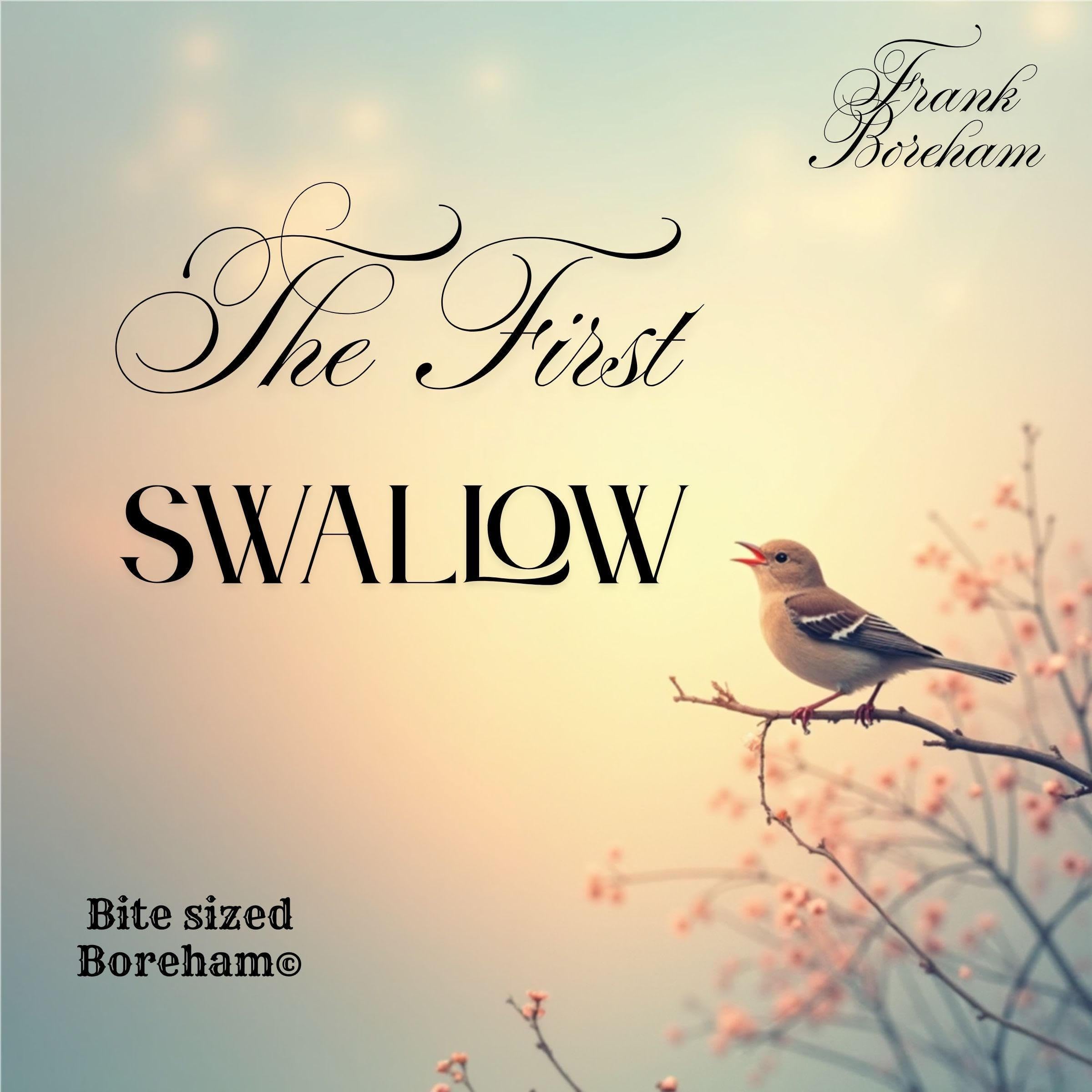 The First Swallow