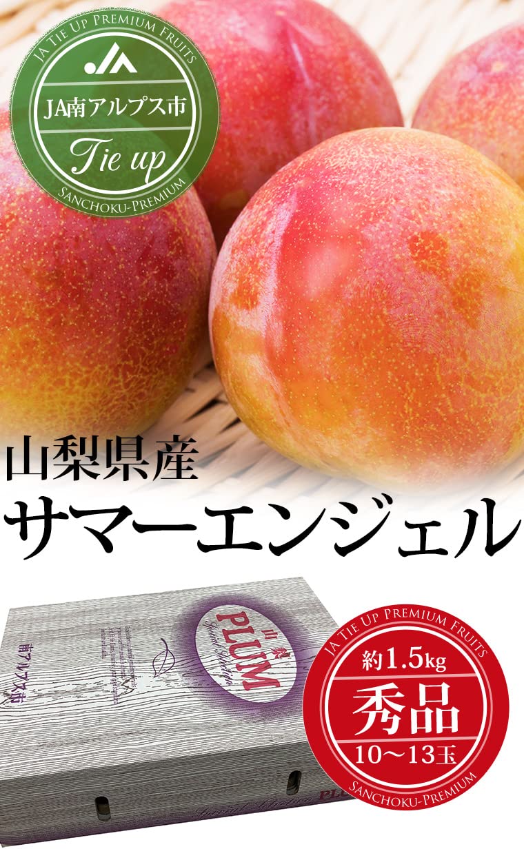 Amazon.co.jp: プラム サマーエンジェル 秀品 約1.5kg 10～13玉 JA
