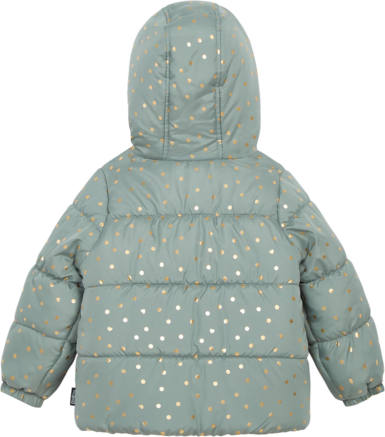 OSHKOSH B'GOSH Girls' Ski Jacket and Snowbib Snowsuit Outfit Set