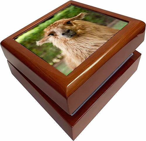 3dRose Argentina, Mendoza, llama at Club Tapiz - SA05 BJA0045 - Jaynes Gallery, Jewelry Box jb-85812-1