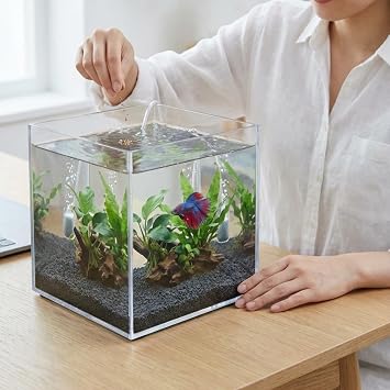 Premium Kristal Küp Nano Akvaryum & Beta Fanusu 20X20X20 cm 7 Litre - Karides ve Balık Akvaryumu