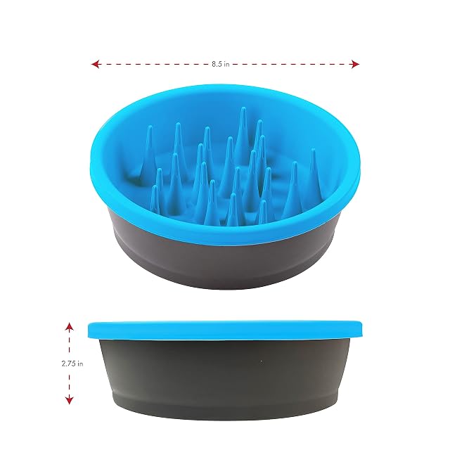Foto 4 de 7 de Dexas Cuenco de alimentación Lenta para Perros para una digestión más Saludable, Dientes y encías