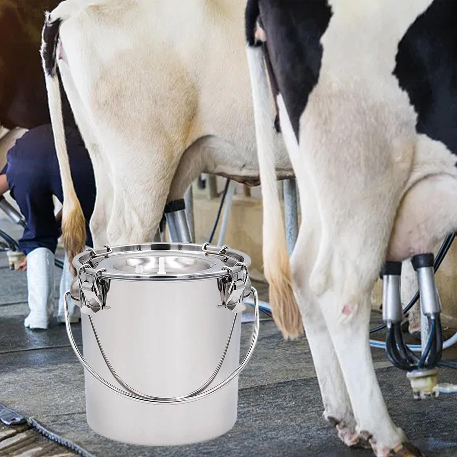 Baoblaze La mungitrice del Secchio della mungitrice dell'Acciaio Inossidabile Parte la Singola Benna del Latte dell'Acciaio Inossidabile, 5 Litri