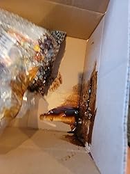 Customer Image, click to open customer review