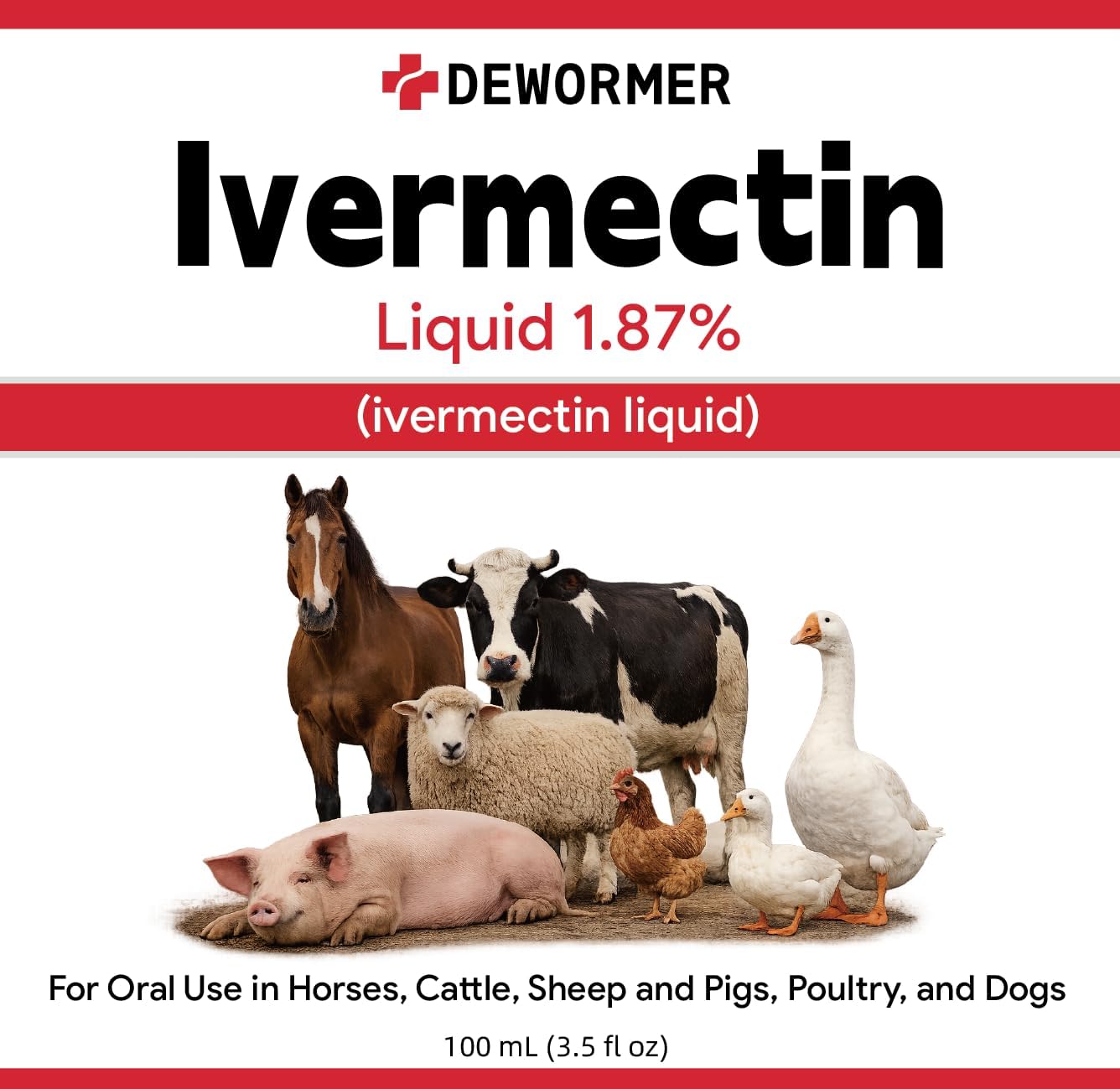 Dewormer, Liquid Formula, for Roundworms, Pinworms, and Others, 3.4 fl oz