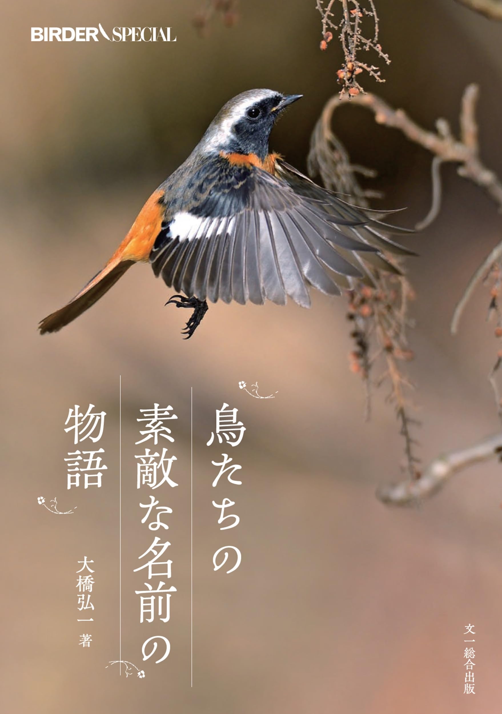 鳥たちの素敵な名前の物語 (BIRDER SPECIAL) | 大橋弘一, 大橋弘一 |本